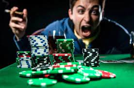 Why Casino
